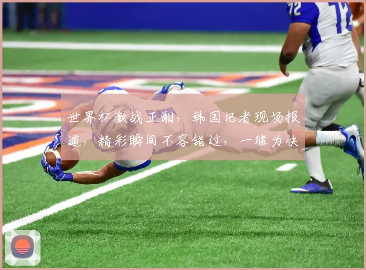 世界杯激战正酣，韩国记者现场报道，精彩瞬间不容错过，一睹为快