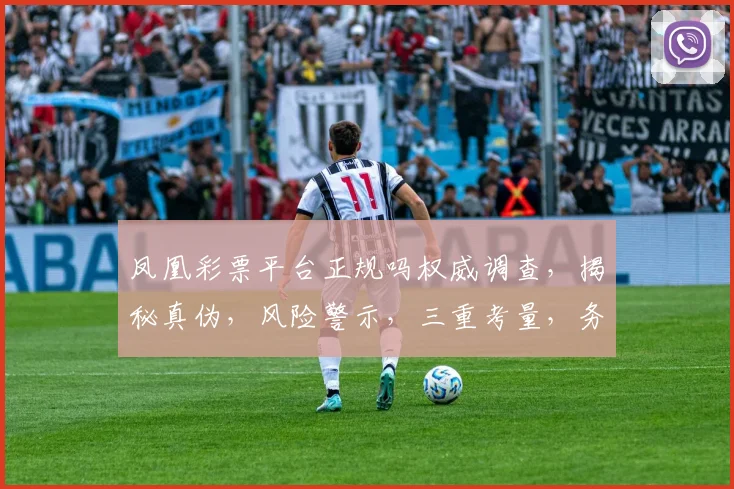 凤凰彩票平台正规吗权威调查，揭秘真伪，风险警示，三重考量，务必了解