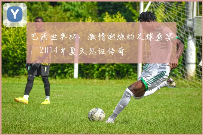 巴西世界杯，激情燃烧的足球盛宴，2014年夏天见证传奇