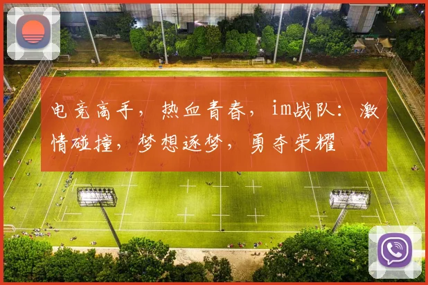 电竞高手，热血青春，im战队：激情碰撞，梦想逐梦，勇夺荣耀