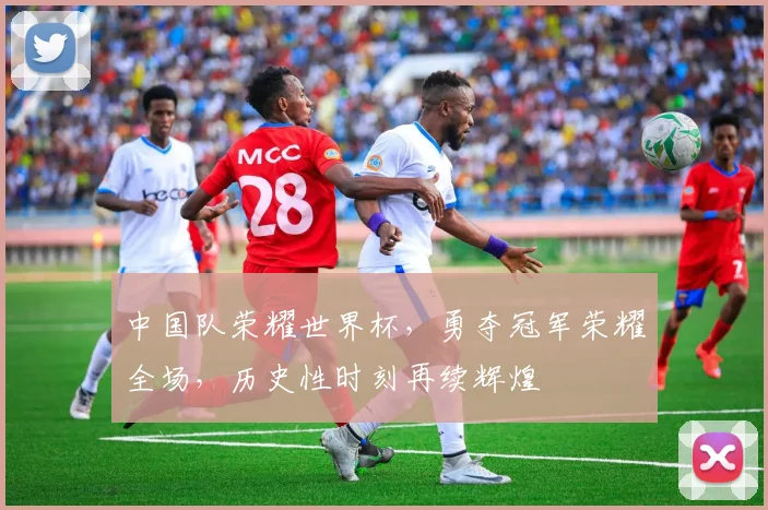 中国队荣耀世界杯，勇夺冠军荣耀全场，历史性时刻再续辉煌