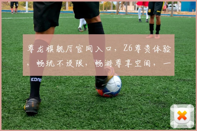 尊龙旗舰厅官网入口，Z6尊贵体验，畅玩不设限，畅游尊享空间，一触即达